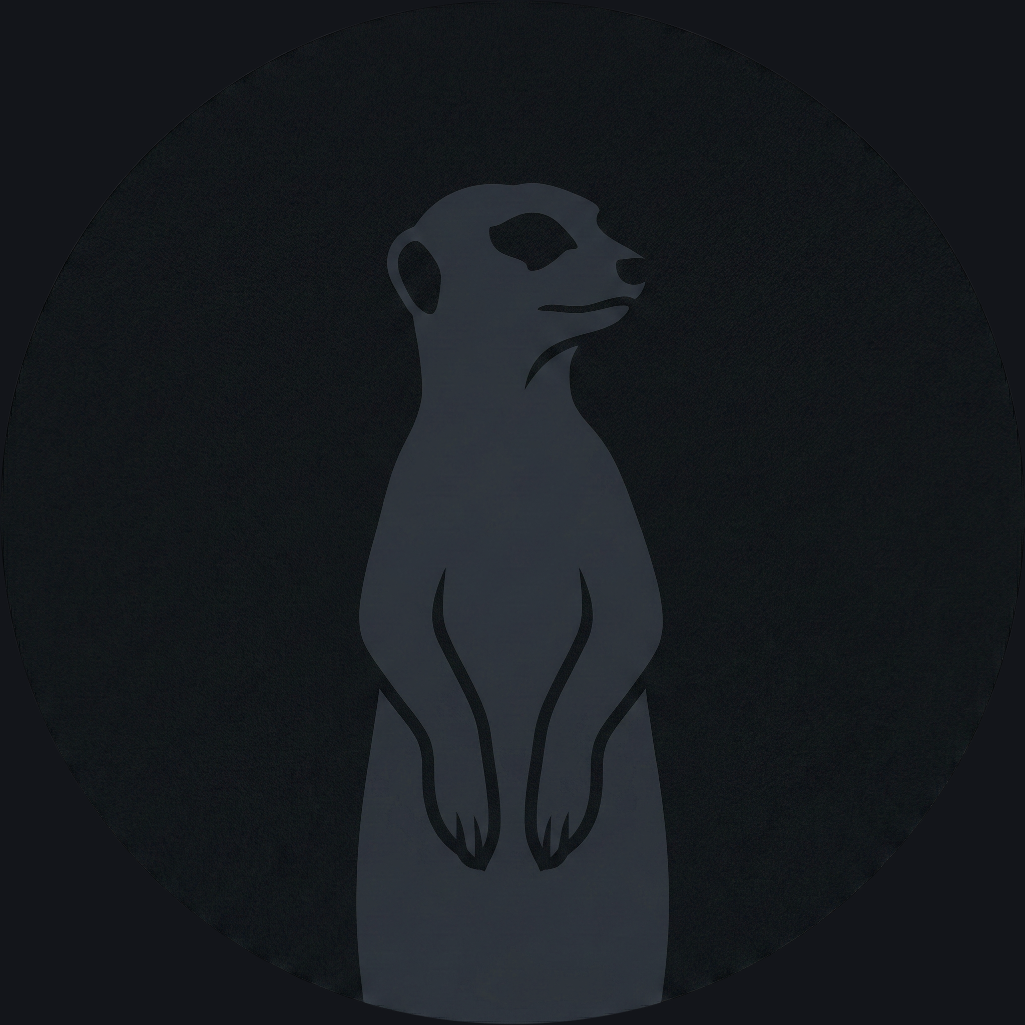 Santiago Chaparro Pedraza